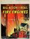 Cover of: The big book of real fire engines.