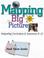 Cover of: Mapping the big picture