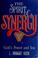 Cover of: The spirit of synergy