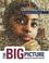 Cover of: The Big Picture