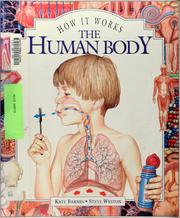 Cover of: The human body by Kate Barnes