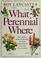 Cover of: What perennial where