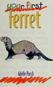 Cover of: Your first ferret by Adelle Porch