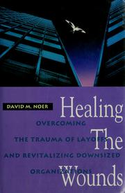 Cover of: Healing the wounds by David M. Noer