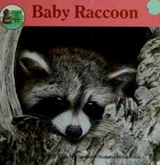 Cover of: Baby raccoon