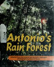 Cover of: Antonio's rain forest by Anna Lewington
