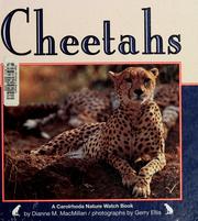 Cover of: Cheetahs by Dianne M. MacMillan
