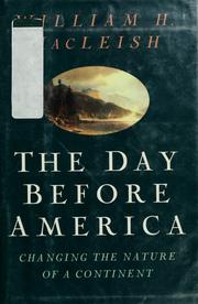 Cover of: The day before America