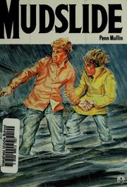Cover of: Mudslide (Perspectives Set 2)