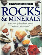 Cover of: Rocks & minerals by R. F. Symes
