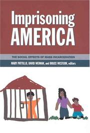 Cover of: Imprisoning America by 