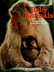 Cover of: All colour book of baby animals by Susan Pinkus