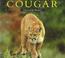 Cover of: Cougar