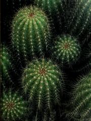 Cover of: Cacti and Succulents (Time-Life Encyclopedia of Gardening)