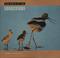 Cover of: World of the shorebirds