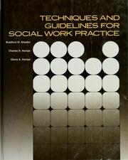 Cover of: Techniques and guidelines for social work practice by Bradford W. Sheafor