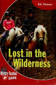 Cover of: Lost in the Wilderness - Mystery Vacation 2006 by R.E. Toresen