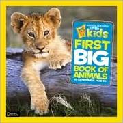 Cover of: Little kids big book of animals