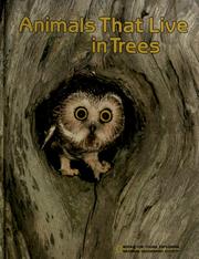Animals that live in trees by Jane R. McCauley