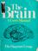 Cover of: The  Brain