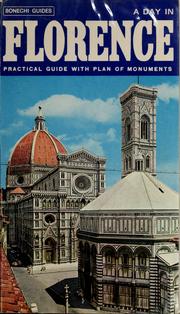 Cover of: New practical guide of Florence