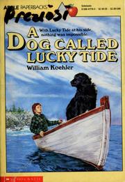 Cover of: A  dog called Lucky Tide by William R. Koehler