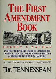 Cover of: The  First Amendment book by Robert J. Wagman