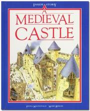 Cover of: A medieval castle by Fiona MacDonald, Fiona MacDonald