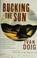 Cover of: Bucking the sun