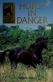 Cover of: Horse in Danger (Usborne Sandy Lane Stables)
