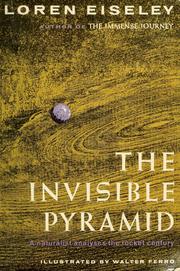 Cover of: The invisible pyramid