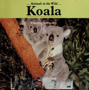 Cover of: Koala