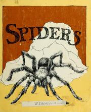 Cover of: Spiders by George Shea