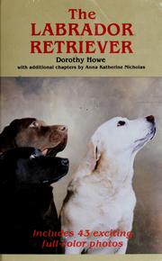 Cover of: The Labrador Retriever by Dorothy Howe