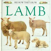 Cover of: Lamb by Gordon Clayton
