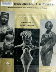 Cover of: Maids, madonnas & witches: women in sculpture from prehistoric times to Picasso.