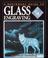 Cover of: A Beginner's Guide to Glass Engraving