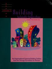 Cover of: A guide to building sustainable organizations from the inside out by Deborah Puntenney