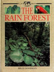 Cover of: The rain forest by Billy Goodman