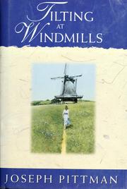 Cover of: Tilting at windmills