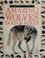 Cover of: Amazing wolves, dogs & foxes