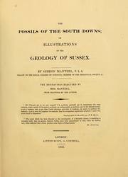 Cover of: The fossils of the South Downs, or, Illustrations of the geology of Sussex by Gideon Algernon Mantell
