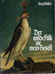 Cover of: Der wilde Falk ist mein Gesell.