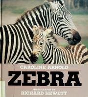 Cover of: Zebra
