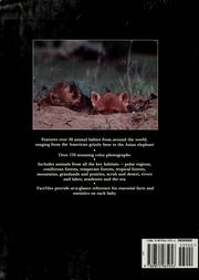 Cover of: Animal babies: a habitat-by-habitat guide to how wild animals grow