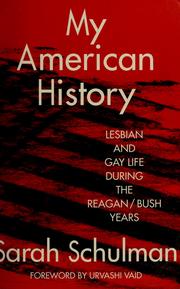 Cover of: My American history by Sarah Schulman