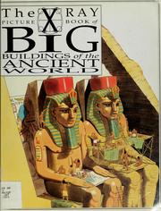 Cover of: The X-ray picture book of big buildings of the ancient world