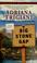 Cover of: Big Stone Gap