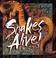 Cover of: Snakes Alive!