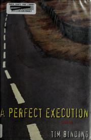 Cover of: A perfect execution by Tim Binding